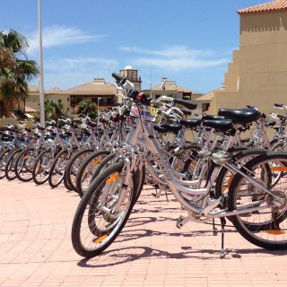 South Tenerife: Bike Rental with Hotel Delivery