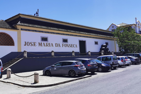 Lissabon zur Weinprobe in Setubal, zwei Weinkeller, HalbtagestourLissabon - Weinverkostung Setubal, zwei Kellereien, Halbtagestour