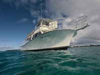 ファハルド、スナックと飲み物のシュノーケリングボートツアー - Housity