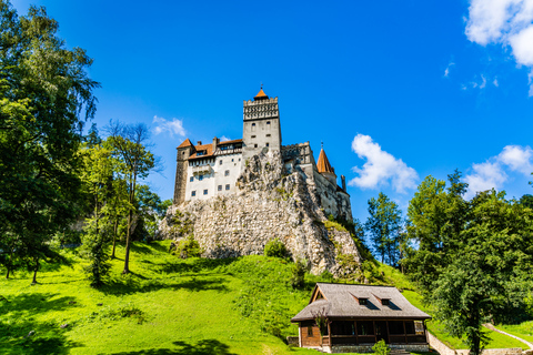 Bucarest: Escursione di un giorno al Castello di Dracula, al Castello di Peles e a Brașov