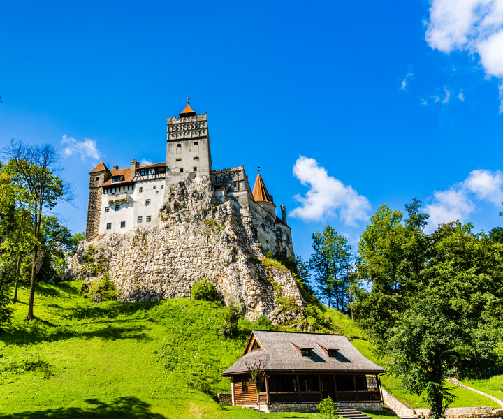 Bucharest: Day Trip to Dracula Castle, Peles Castle & Brașov
