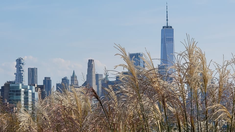 The High Line Park of New York City (Complete Visitor's Guide)