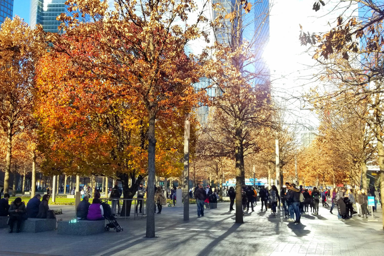 Nueva York: recorrido a pie por el 9/11 Memorial y el distrito financiero