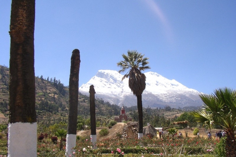 Huaraz: Tagesausflug zum Llanganuco SeePrivate Tour mit englischsprachigem Guide & Mittagessen