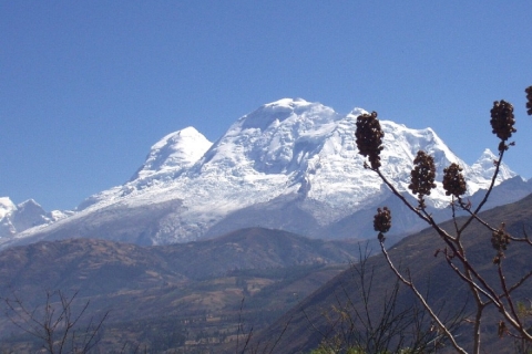 Huaraz: Tagesausflug zum Llanganuco SeePrivate Tour mit englischsprachigem Guide & Mittagessen