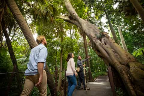 Melbourne: Aboriginal Heritage Walk