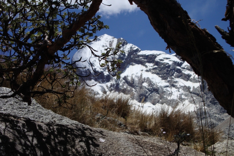 Van Huaraz: privéwandeling van Laguna Churup met lunchpakket