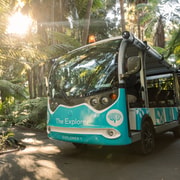 Melbourne: Melbourne Gardens Explorer Minibus Tour