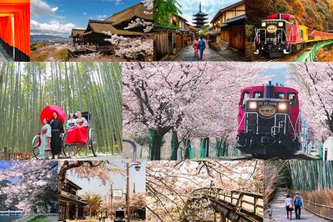 Desde Osaka: excursión de un día a la zona turística de Kioto y viaje panorámico en tren
