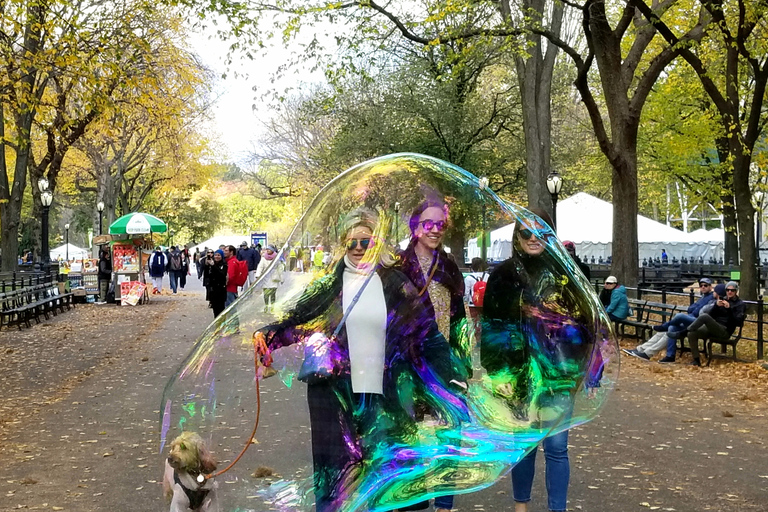 New York: Rundgang zu den Geheimnissen und Höhepunkten des Central Park