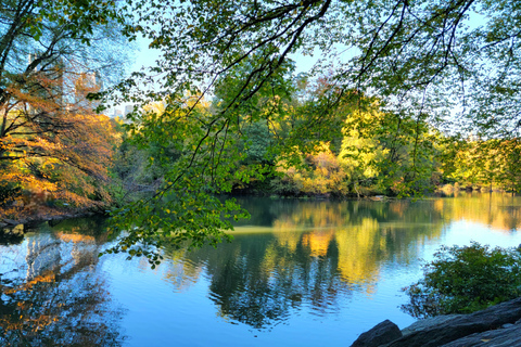 NYC: Central Park Secrets and Highlights Walking Tour