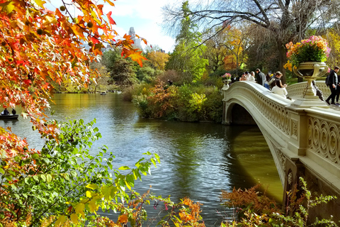 New York: Central Park Secrets and Highlights Walking Tour