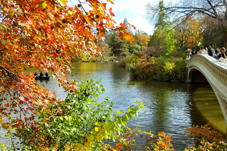 NYC: Central Park Secrets and Highlights Walking Tour