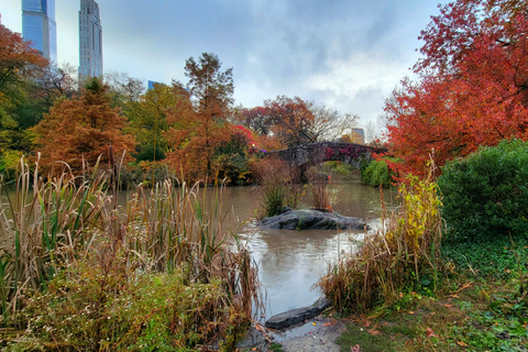 NYC: Central Park Secrets and Highlights Walking Tour