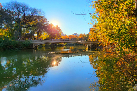 New York: visite à pied des secrets et des points forts de Central Park