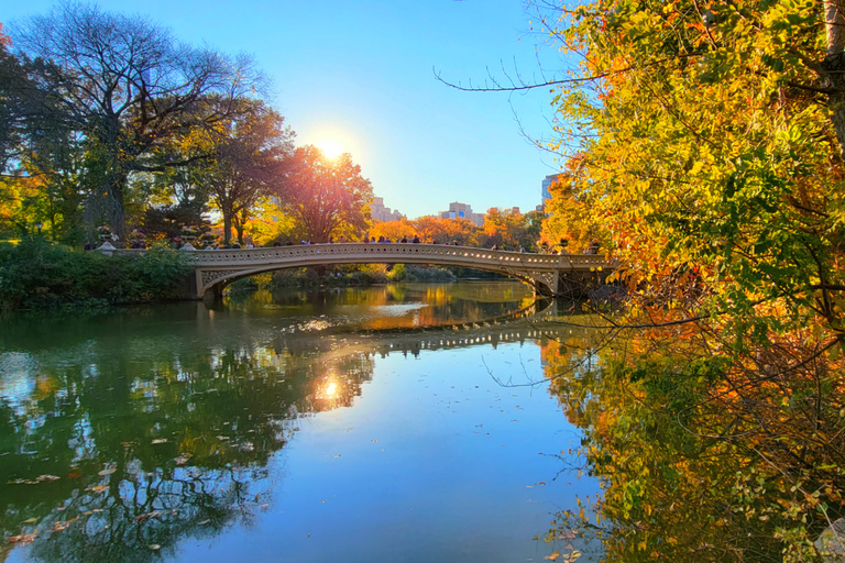 NYC: Central Park Secrets and Highlights Walking Tour