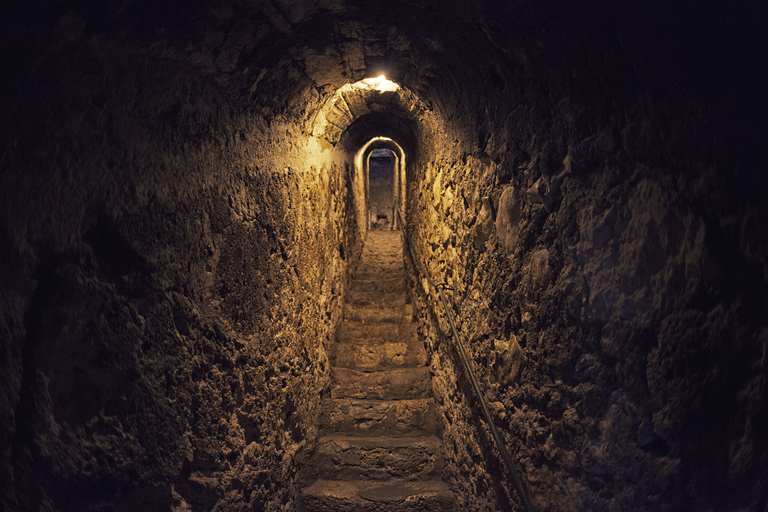 Bucareste: Visita guiada ao Castelo do Drácula, Castelo de Peles e BrasovVisita guiada em espanhol