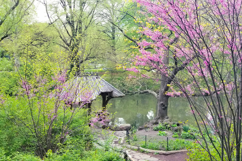 Nueva York: recorrido a pie por los secretos y lugares destacados de Central Park