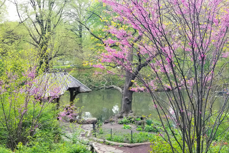 New York: visite à pied des secrets et des points forts de Central Park