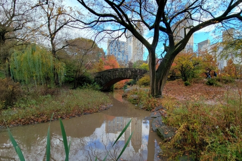 New York: visite à pied des secrets et des points forts de Central Park