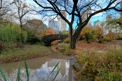 New York: visite à pied des secrets et des points forts de Central Park