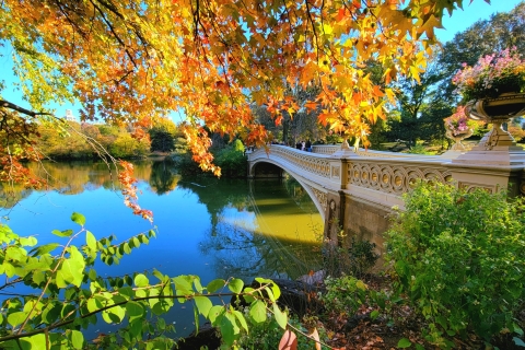 New York: Central Park Secrets and Highlights Walking Tour