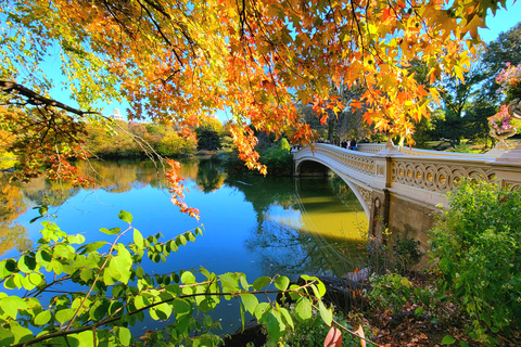 New York: visite à pied des secrets et des points forts de Central Park