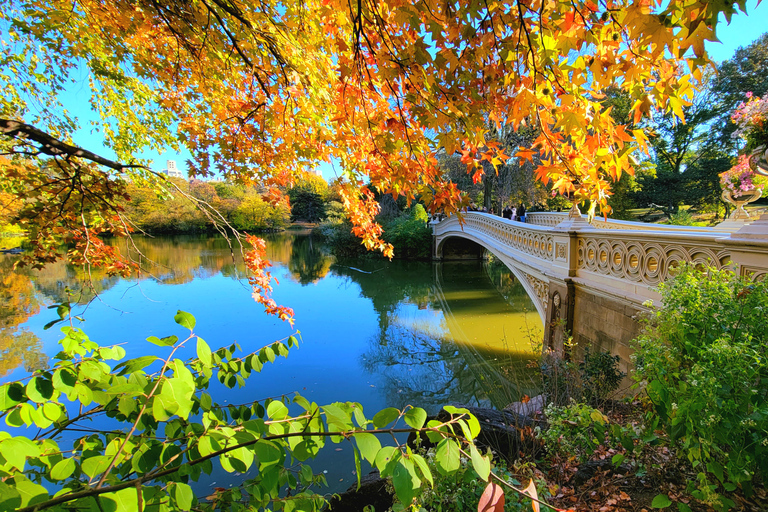 Nueva York: recorrido a pie por los secretos y lugares destacados de Central Park