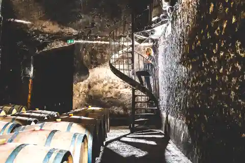 Taillan-Médoc: Visita a un castillo y cata de vinos en Burdeos