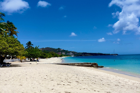 Grenade : Cascade d&#039;Annandale, Grand Etang, plage de Grand Anse