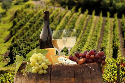 Linguaglossa: experiencia de cata de vinos en Etna Nord