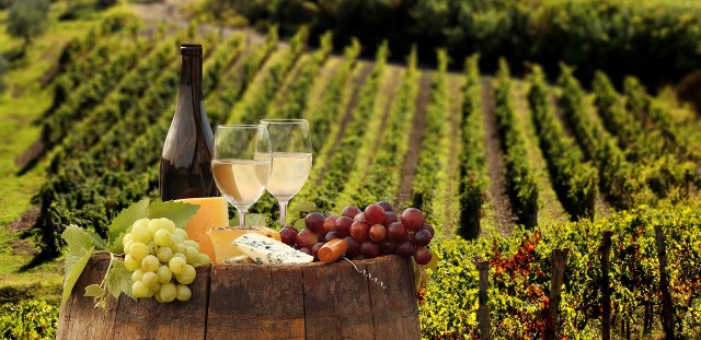 Visit Linguaglossa Wine Tasting Experience at Etna Nord in Taormina