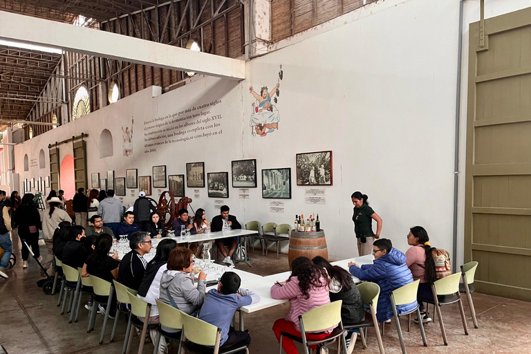 De Ica ou Huacachina: Pisco, vinho e buggy ao pôr do sol