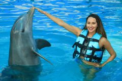 Dolphin & Whale Watching | Nayarit things to do in Nuevo Vallarta