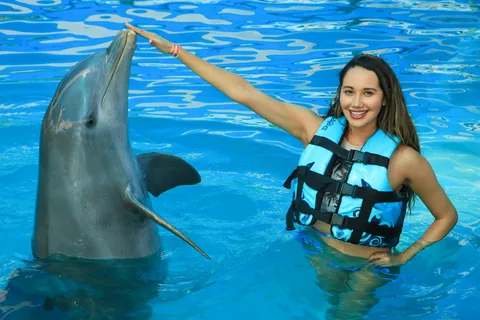 Puerto Vallarta : Baignade des dauphins et parc Aquaventuras