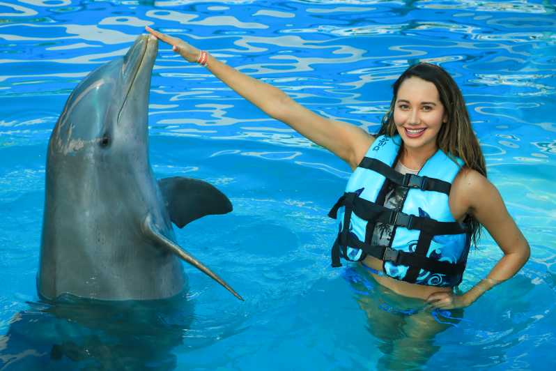 Puerto Vallarta: Nado con delfines y Parque Aquaventuras