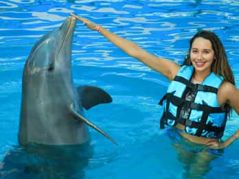 Puerto Vallarta: Delphinschwimmen und Aquaventuras Park
