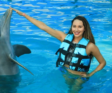 Puerto Vallarta: Dolphin Swimming and Aquaventuras Park