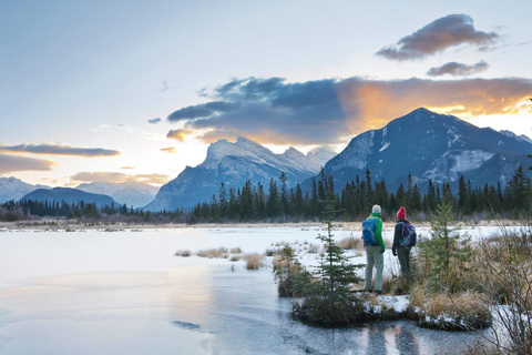 Banff Private Full-Day Tour Lake Louise, Gondola & more