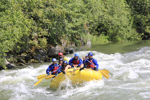 شيكاموس سبلاش مناسب للعائلاترحيل سكواميش - مشترك