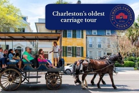 Charleston: prywatna jazda powozem60-minutowa wycieczka w ciągu dnia