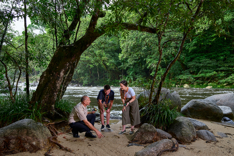 Cairns : Excursion d'une journée à la découverte de l'art et de la culture aborigènes avec déjeuner