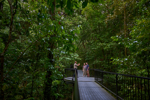 Cairns : Excursion d'une journée à la découverte de l'art et de la culture aborigènes avec déjeuner