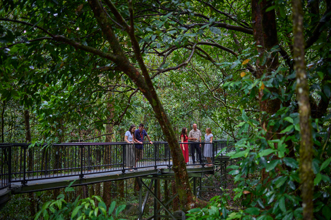 Cairns: Aboriginal Art and Culture Full-Day Trip with Lunch