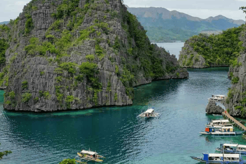 Coron: Ultieme eilandhoppen tour met lunch | Palawan