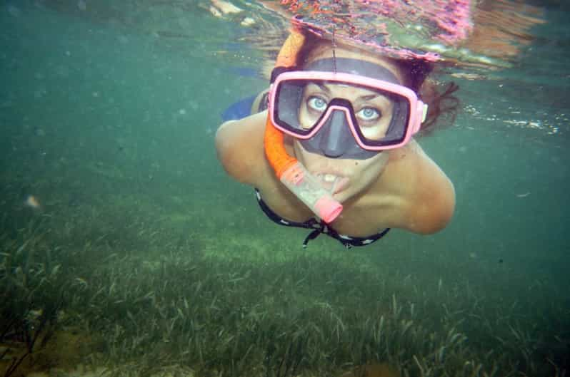 Panama City Beach: Snorkeling Trip by Boat | GetYourGuide