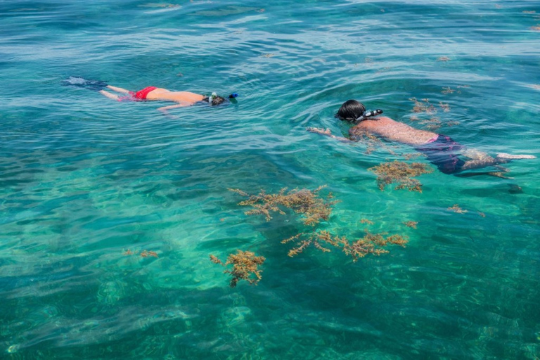 Panama City Beach: Shell eiland Catamaran Snorkeltour