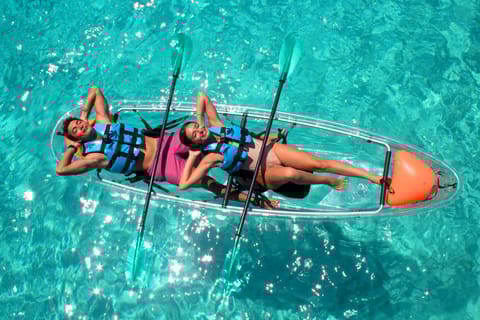 Cancun: Dolphin Swim and Garrafon Reef Park Tour with Buffet