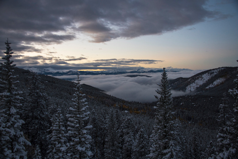 Denver: Rocky Mountains Halfdaagse tour met gidsDenver: Rocky Mountain ontsnappen