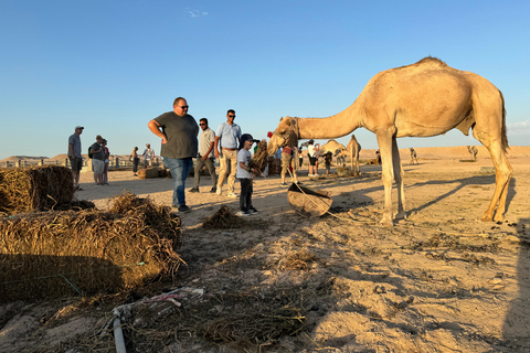 Hurghada: Camel Ride & horse ride and Off-Road Jeep Tour pickup from hotels inside hurghada